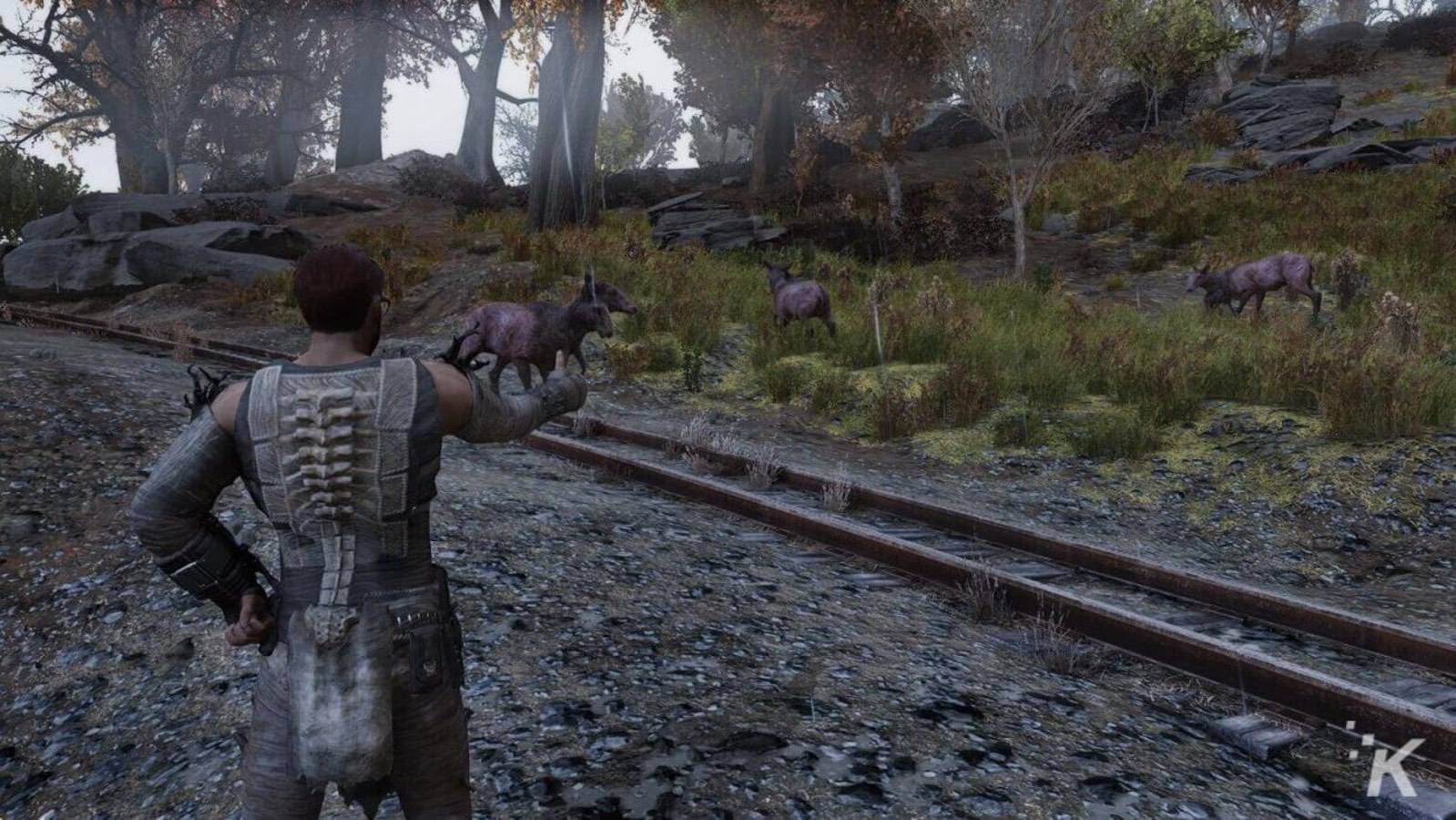 fallout 76 animals