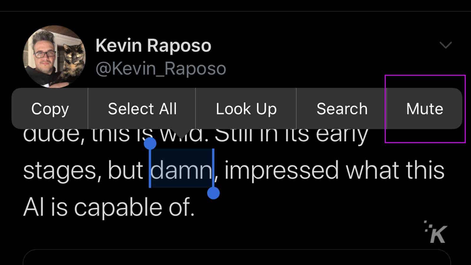 how to mute words on twitter on ios