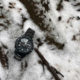 casio prt-b50yt-1cr connected watch on snowy ground